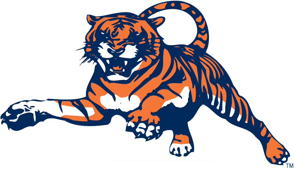 Auburn Tigers 1982-1997 Alternate Logo t shirts iron on transfers
